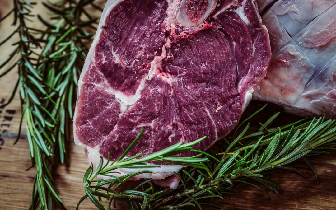 Alla ricerca di alternative proteiche alla carne: Un’analisi delle esigenze contemporanee